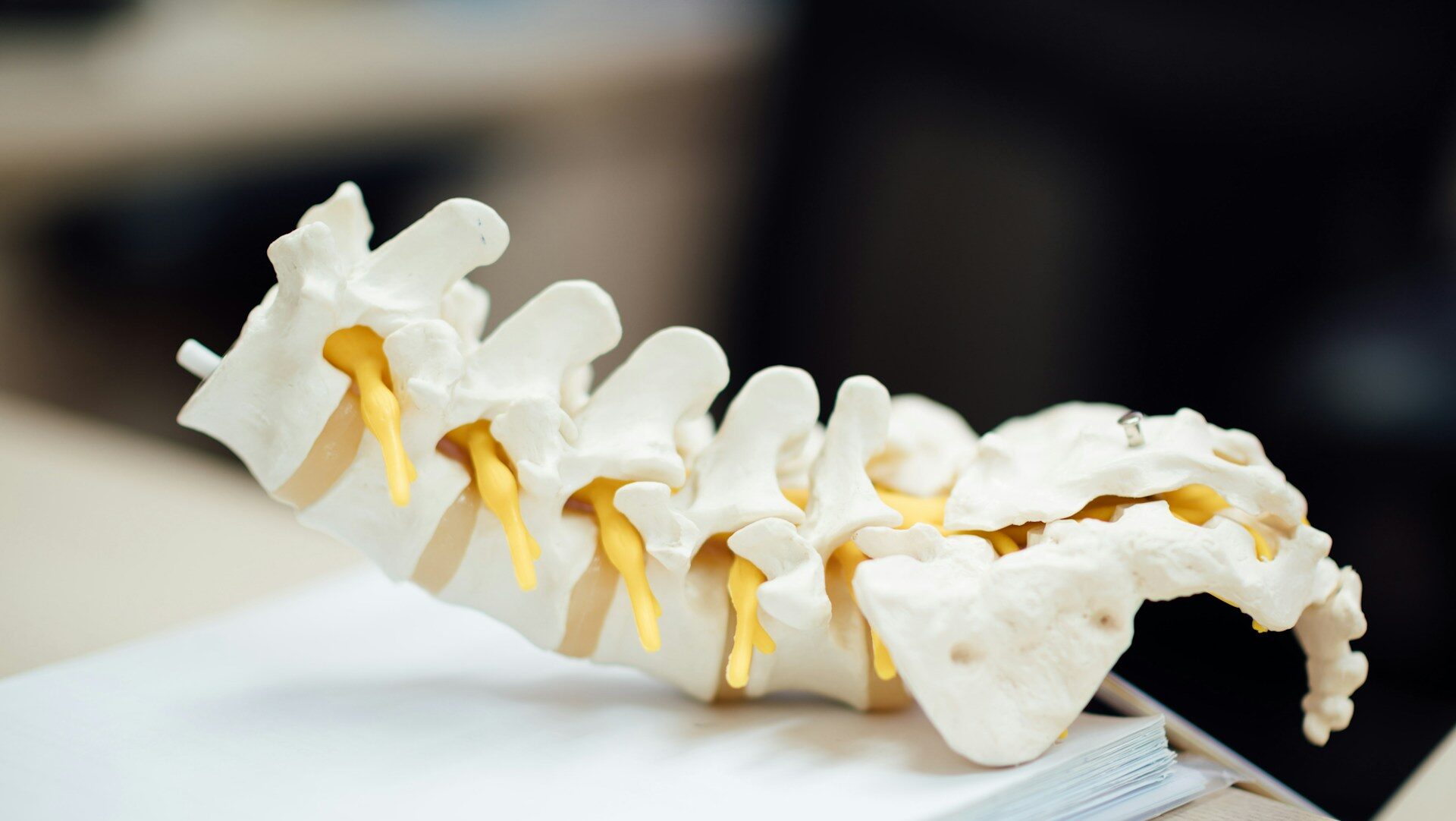 chuttersnap-OijVdM3Zx4I-unsplash